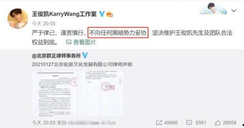 网黑料正页无法打开,网黑料正页无法打开背后的真相