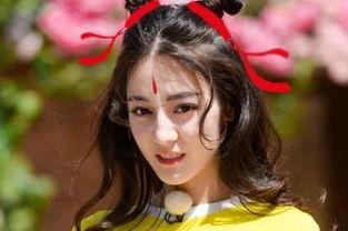 网剧出身的圆脸小花黑料,网剧出身背后的黑料风波