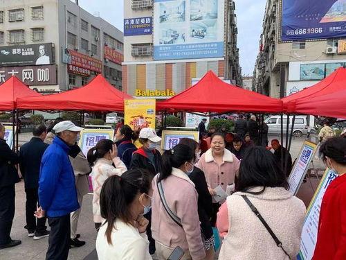 峨口镇黑料厂招聘信息网