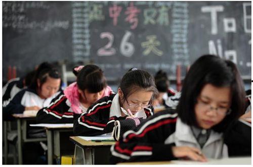 中专老师网课黑料,揭秘网课乱象背后的真相