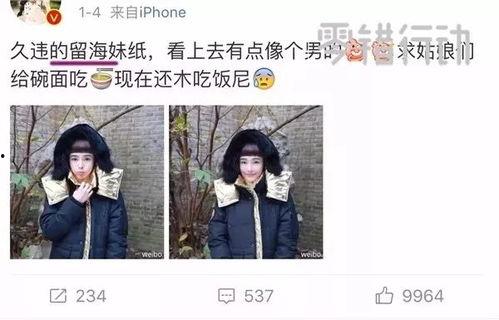 娱乐圈黑料网盘,揭秘明星背后的真相与争议