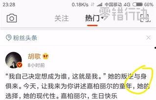 娱乐圈黑料网盘,揭秘明星背后的真相与争议